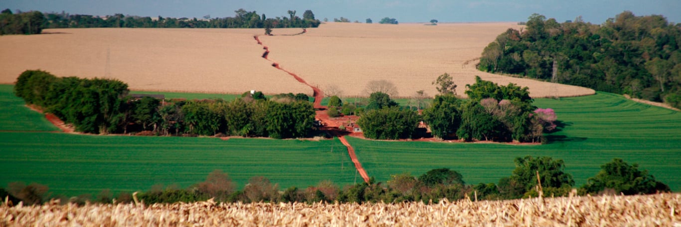 A decisão do Tribunal Regional Federal de manter a validade do Código Florestal Federal foi recebida como uma vitória pelo setor produtivo agropecuário - Foto: FAEP