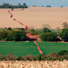 A decisão do Tribunal Regional Federal de manter a validade do Código Florestal Federal foi recebida como uma vitória pelo setor produtivo agropecuário - Foto: FAEP