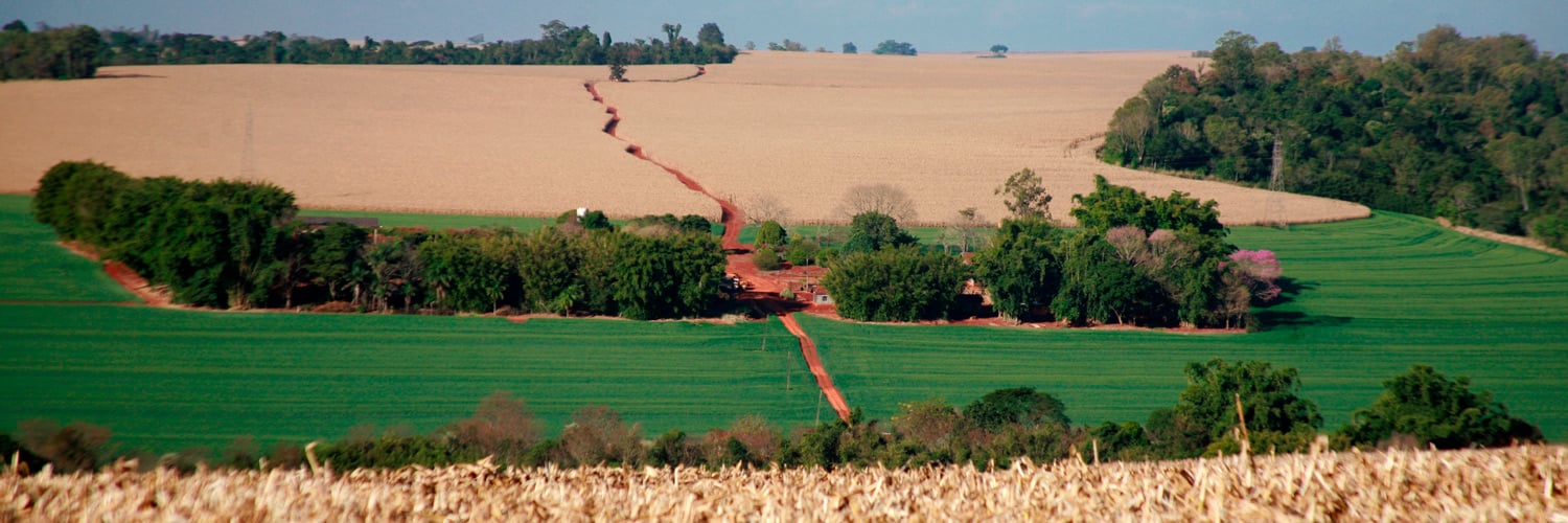 A decisão do Tribunal Regional Federal de manter a validade do Código Florestal Federal foi recebida como uma vitória pelo setor produtivo agropecuário - Foto: FAEP