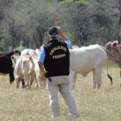 Descubra as mudanças na agropecuária com a nova regulamentação dos programas de autocontrole no Brasil - Foto: Divulgação