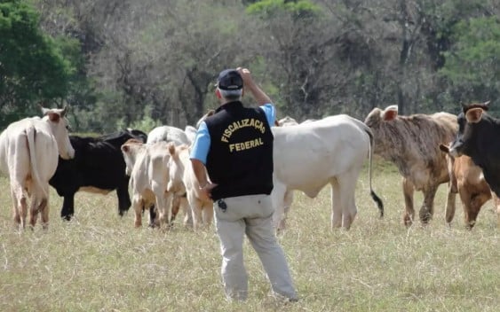 Descubra as mudanças na agropecuária com a nova regulamentação dos programas de autocontrole no Brasil - Foto: Divulgação