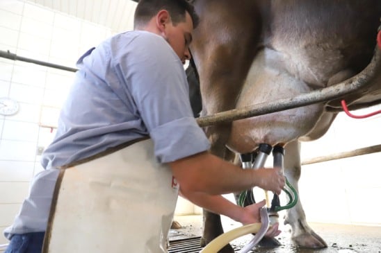 Projeto de Lei 5738/2025 visa proibir a reconstituição de leite no Brasil, protegendo o mercado e os produtores nacionais - Foto: Arnaldo Alves / AEN.