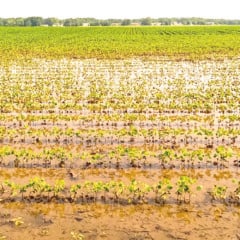 Tornados e granizo afetam 270 mil hectares e pressionam próxima safra