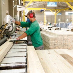 O Paraná vende, em média, US$ 1,5 bilhão por ano em produtos aos Estados Unidos. Até outubro de 2025 foram US$ 1 bilhão, uma queda de 17% em relação ao ano passado - Foto: AEN