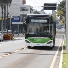 Participe das festividades de aniversário de Cascavel. Confira a programação cheia de eventos e transporte gratuito - Foto: Secom
