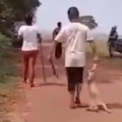 O que mais o indignou foi o fato dessas barbáries ocorrerem sob os olhares de policiais da Força Nacional que, segundo o deputado, nada fizeram para conter a selvageria - Foto: Reprodução/Redes Sociais 