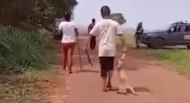 O que mais o indignou foi o fato dessas barbáries ocorrerem sob os olhares de policiais da Força Nacional que, segundo o deputado, nada fizeram para conter a selvageria - Foto: Reprodução/Redes Sociais 