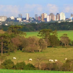 Descubra o fenômeno do êxodo rural no Brasil e como ele afeta pequenos e médios produtores na era da tecnologia - Foto: Celso Dias