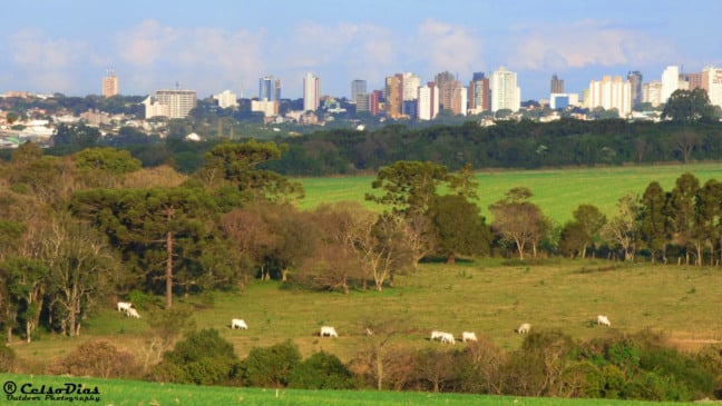 Descubra o fenômeno do êxodo rural no Brasil e como ele afeta pequenos e médios produtores na era da tecnologia - Foto: Celso Dias