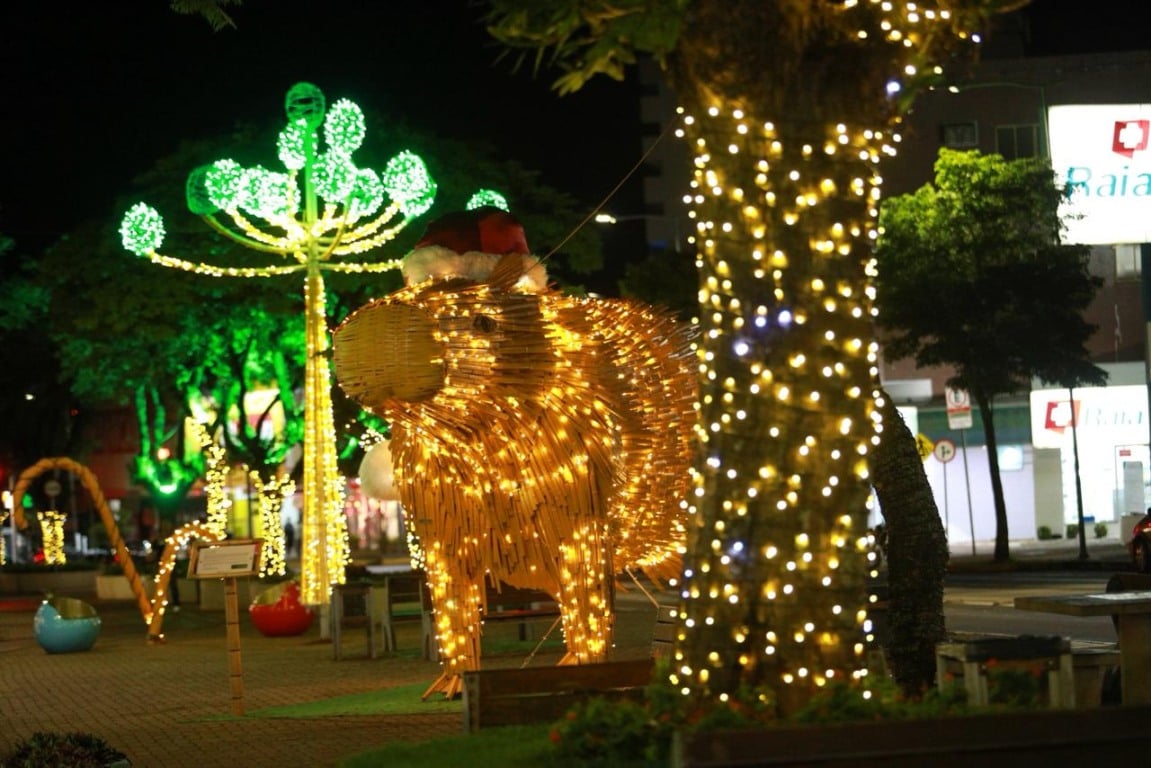 Todos os anos, a decoração da cidade é esperada com certa expectativa pela população e pelo próprio comércio, que vê na data os “louros do ano”, com as vendas aquecidas - Foto: Secom Todos os anos, a decoração da cidade é esperada com certa expectativa pela população e pelo próprio comércio, que vê na data os “louros do ano”, com as vendas aquecidas - Foto: Secom