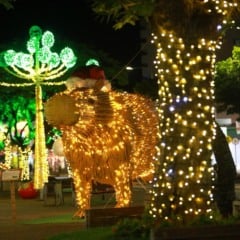 Todos os anos, a decoração da cidade é esperada com certa expectativa pela população e pelo próprio comércio, que vê na data os “louros do ano”, com as vendas aquecidas - Foto: Secom