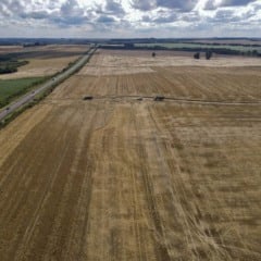 Conheça a extraordinária safra de grãos do Paraná, com R$ 68 bilhões em VBP e destaque para o trigo nesta colheita - Foto: AEN