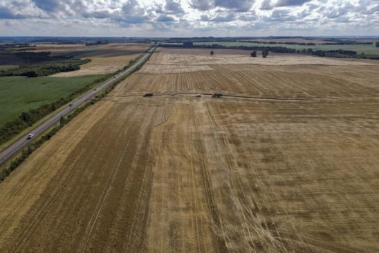 Conheça a extraordinária safra de grãos do Paraná, com R$ 68 bilhões em VBP e destaque para o trigo nesta colheita - Foto: AEN