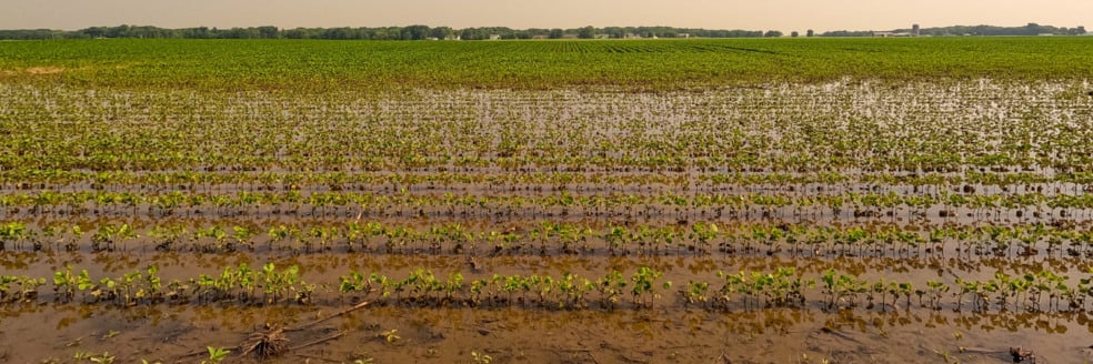 A medida, tomada devido à contenção de gastos do governo, gera reações no setor e intensifica a preocupação com a proteção das lavouras diante das instabilidades climáticas e econômicas - Foto: FAEP