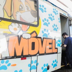 Castramóvel encerra cirurgias no Riviera com cerca de 100 castrações em cães e gatos