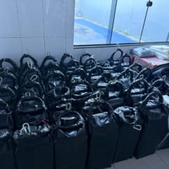 Polícias do Paraná apreendem a segunda maior carga de cocaína do ano: droga seria enviada à Europa