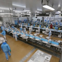 Descubra as oportunidades de emprego no Paraná. São 26.472 vagas nas áreas de produção, comércio e serviços disponíveis  - Foto : Jonathan Campos / AEN