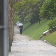 Foto: Geraldo Bubniak/AEN
