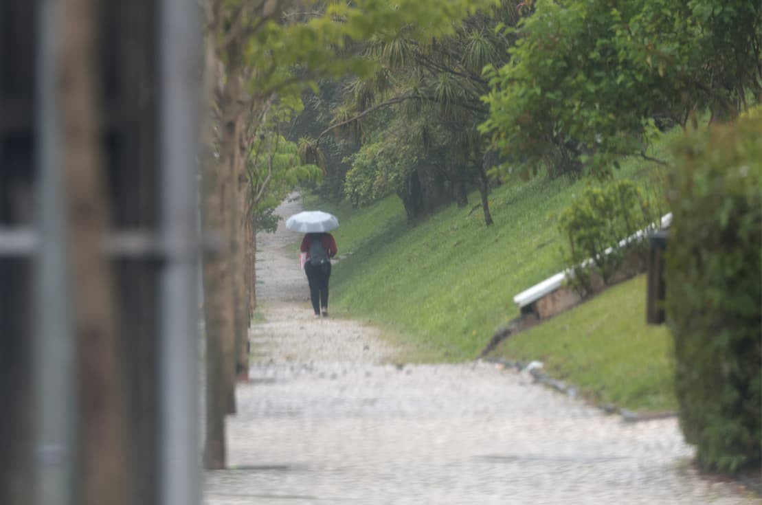 Foto: Geraldo Bubniak/AEN
Foto: Geraldo Bubniak/AEN