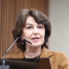 A deputada Cristina Silvestri apresenta o Projeto de Lei nº 1095/2025, que destina árvores para reconstrução em áreas afetadas - Foto: Divulgação/Assessoria Parlamentar