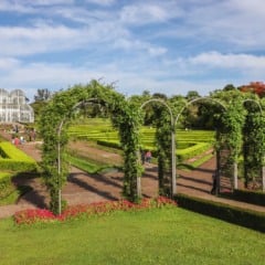 Jardim Botanico de Curitiba