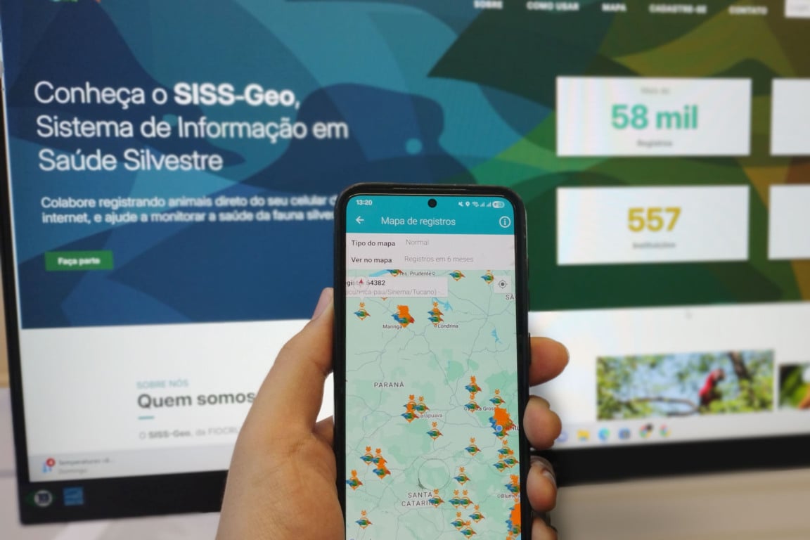 Descubra como a tecnologia fortalece a vigilância da febre amarela no Paraná com o SISS-Geo e a importância dos primatas - Foto: AEN