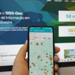 Descubra como a tecnologia fortalece a vigilância da febre amarela no Paraná com o SISS-Geo e a importância dos primatas - Foto: AEN