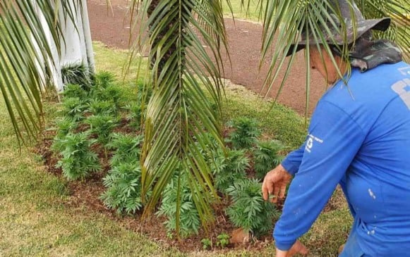 Coopavel inicia a contratação de 750 temporários ao Show Rural