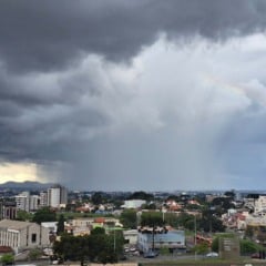 Foto: Leonardo Furlan/Simepar
