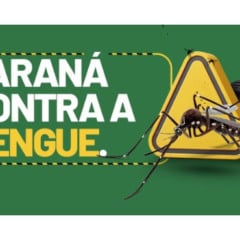 Paraná participa do Dia Nacional de Combate à Dengue com ações educativas e recreativas para eliminar criadouros - Foto: SESA