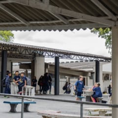 A escolha de diretores nas Escolas estaduais do Paraná acontece hoje. Descubra como votar e fazer sua voz ser ouvida - Foto: AEN