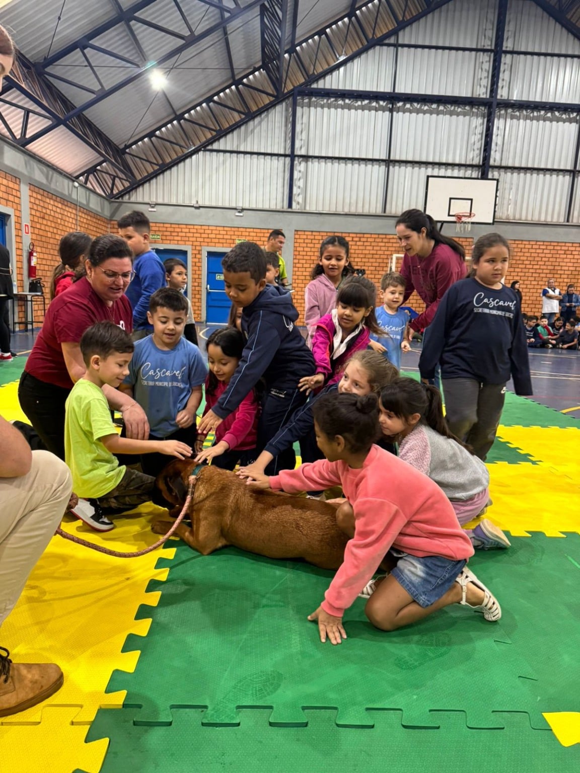 Educação confirma que a entrega dos kits de uniformes escolares inicia em fevereiro Educação confirma que a entrega dos kits de uniformes escolares inicia em fevereiro