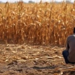 O agronegócio enfrenta um momento crítico em 2026. Saiba mais sobre os desafios e as perspectivas do setor - Foto: Imagem/IA