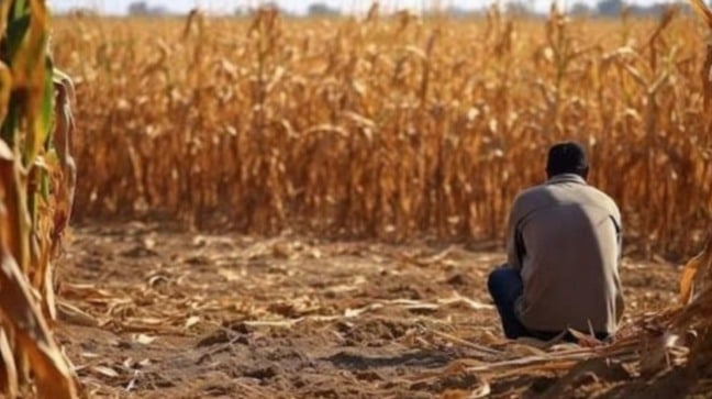 O agronegócio enfrenta um momento crítico em 2026. Saiba mais sobre os desafios e as perspectivas do setor - Foto: Imagem/IA