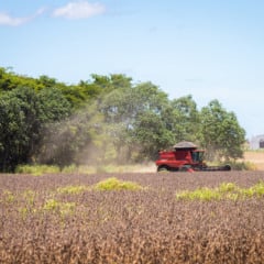 Descubra como os produtores rurais influenciaram o PIB e a inflação do Brasil em 2025 e os desafios que enfrentarão em 2026 - Foto: Wenderson Araújo/CNA