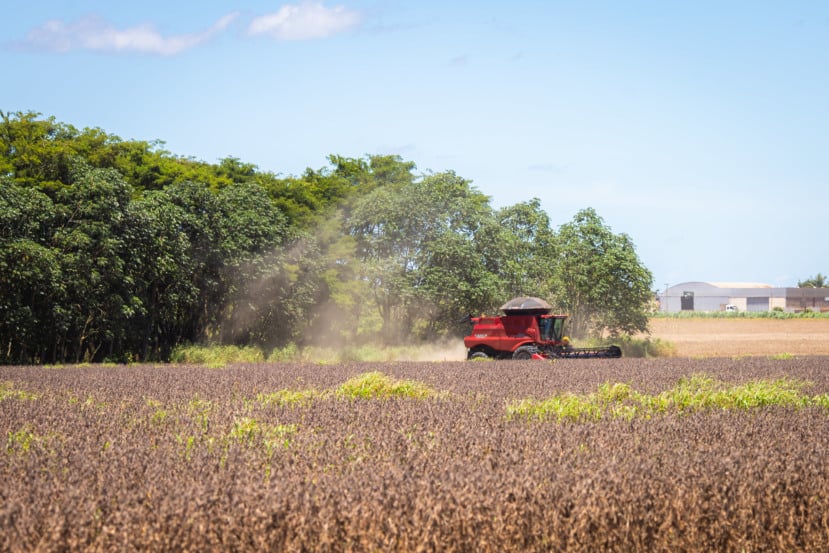 Descubra como os produtores rurais influenciaram o PIB e a inflação do Brasil em 2025 e os desafios que enfrentarão em 2026 - Foto: Wenderson Araújo/CNA