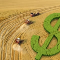 Entenda como o Projeto de Lei 2951/2024 pode impactar os produtores rurais em Cascavel e a segurança econômica no campo - Foto: Divulgação/IA