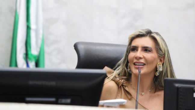 Descubra como o projeto de lei da Assembleia Legislativa visa combater fraudes em financiamentos de veículos automotores - Foto: Orlando Kissner/Alep