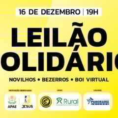 Leilão Solidário beneficiará APAE de Cascavel e projeto Talentos de Jesus