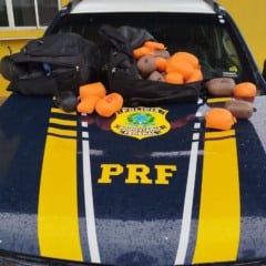 Veja como a PRF apreendeu 39,2 kg de haxixe em Catanduvas e os procedimentos legais em Cascavel - Foto: PRF