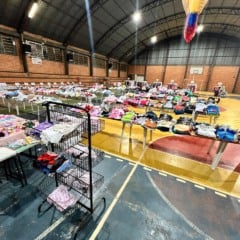 Participe do bazar duplo na Apae de Cascavel e aproveite produtos de qualidade com preços especiais neste fim de semana - Foto: Assessoria 