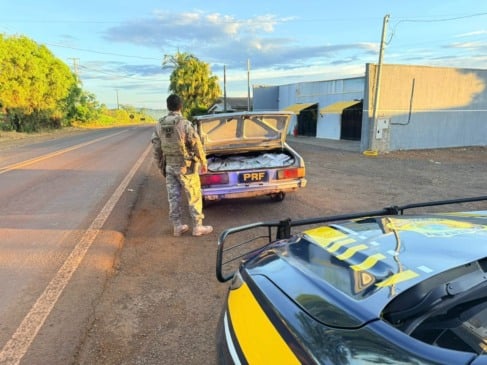 Em Cascavel, PRF apreende 200 quilos de agrotóxicos contrabandeados em operação na PR-180 - Foto: PRF
