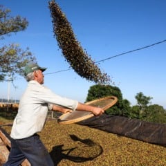 O agronegócio apresentou crescimento no terceiro trimestre, impulsionado pela recuperação das lavouras e pecuária - Foto: AEN
