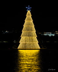 Descubra como a decora&ccedil;&atilde;o do 'Natal de Luz e Paz' em Cascavel foi impactada pelo atraso na ilumina&ccedil;&atilde;o da &aacute;rvore - Foto: Julio Szymanski
