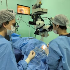 Em Cascavel, 931 cirurgias oftalmológicas foram realizadas em dois meses, com previsão de 2.529 até abril do próximo ano - Foto: AEN