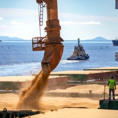 Descubra como o Paraná se destaca entre os protagonistas do Brasil em exportações, liderando setores como fertilizantes e carnes - Foto: AEN