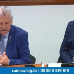 Audiência na Câmara Federal reconhece Toledo como “Capital Nacional da Proteína Animal”