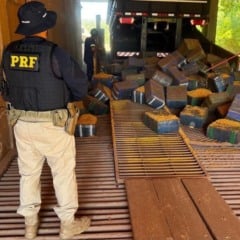 A PRF apreendeu 2.590 quilos de maconha escondidos em carga de milho durante fiscalização na BR-163 em Guaíra - Foto: PRF