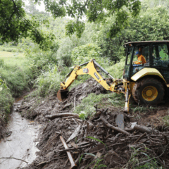 Saiba como o programa Sema transforma o Periolo com ações de limpeza, plantio de árvores e conscientização ambiental - Foto: Secom