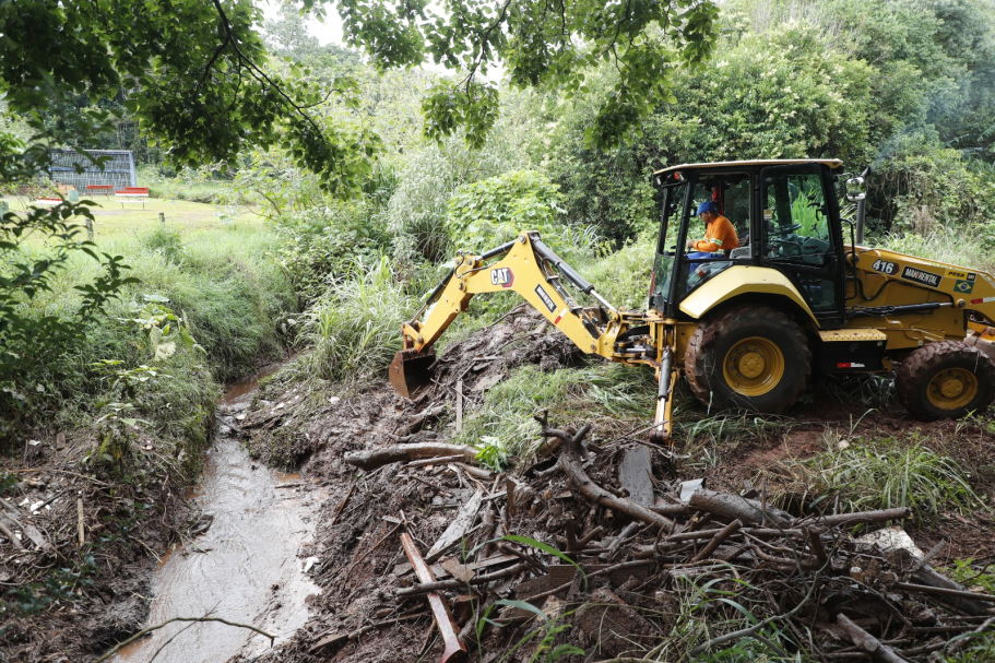 Saiba como o programa Sema transforma o Periolo com ações de limpeza, plantio de árvores e conscientização ambiental - Foto: Secom Saiba como o programa Sema transforma o Periolo com ações de limpeza, plantio de árvores e conscientização ambiental - Foto: Secom